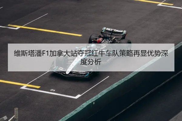 wei-si-ta-pan-jia-na-da-zhan-duo-guan-hong-niu-che-dui-ce-lve-zai-xian-you-shi-shen-du-fen-xi-2-479.jpg