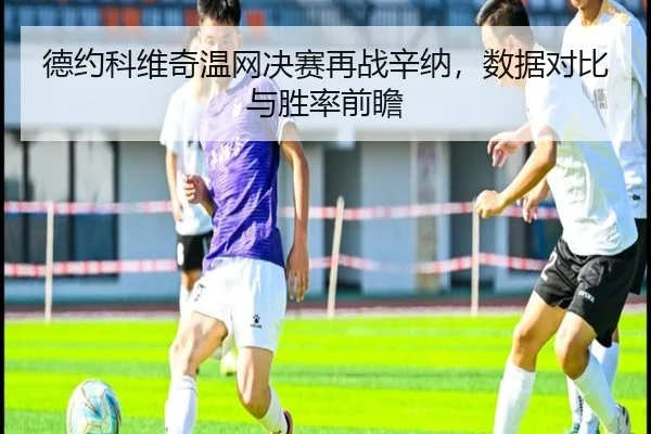 德约科维奇温网决赛再战辛纳，数据对比与胜率前瞻